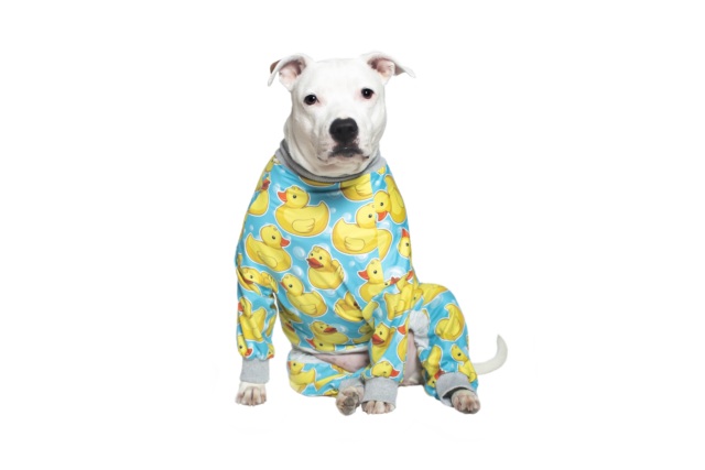 Rubber Ducky Dog Pajamas - Image 9