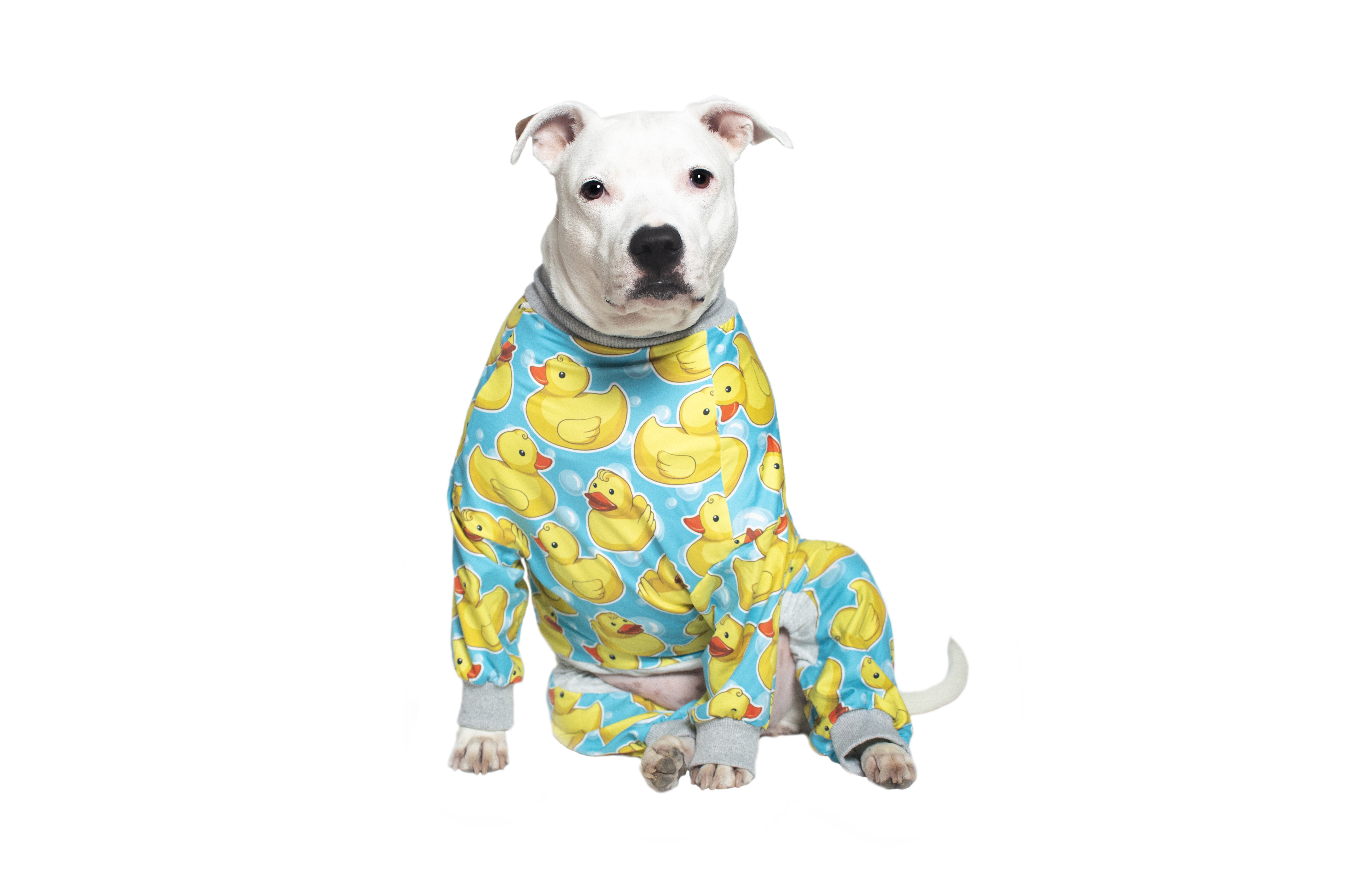 Rubber Ducky Dog Pajamas