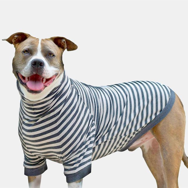Oatmeal Stripe Lightweight Dog Pullover - Image 3