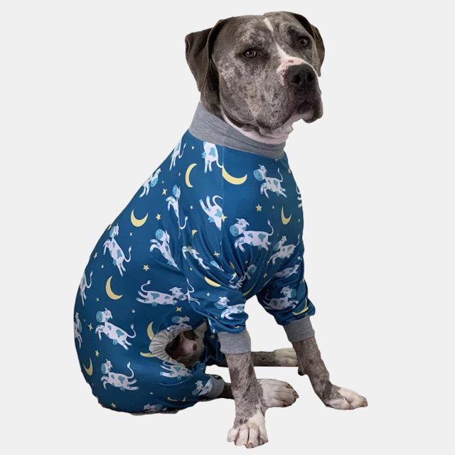 Cow Over the Moon Pajamas - Image 2