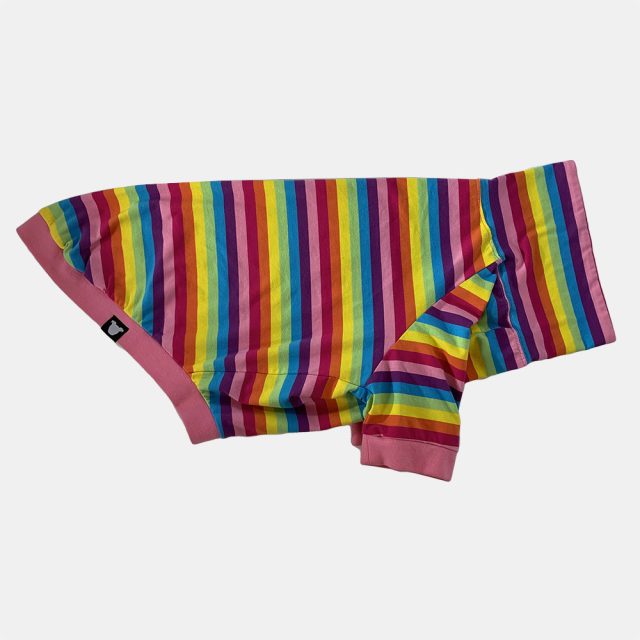 Rainbow Stripe Lightweight Dog Shirt - Image 3