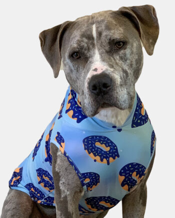 tooth and honey dog clothes