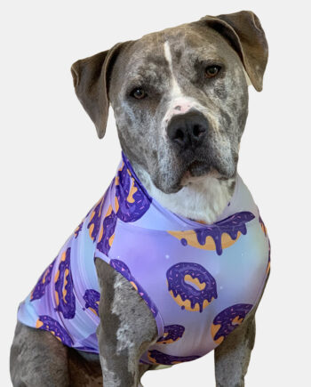 tooth and honey dog clothes