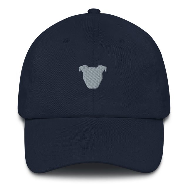 Tooth & Honey Logo Dad Hat (made to order) - Image 4