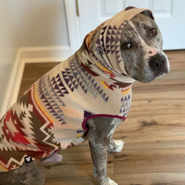 Sunset Canyon Fleece Dog Vest - Image 2