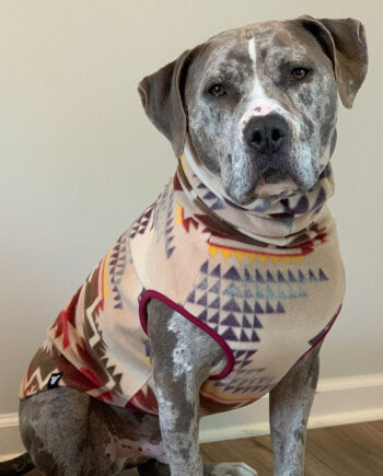 Sunset-Canyon-Fleece-Dog-Vest-4