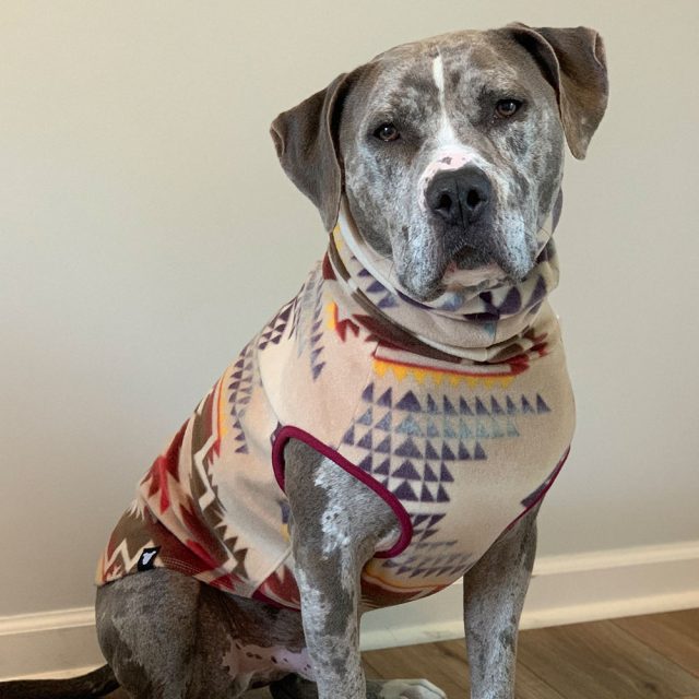 Sunset Canyon Fleece Dog Vest - Image 5