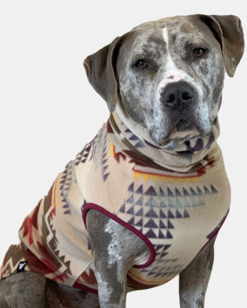 Sunset-Canyon-Fleece-Dog-Vest-5
