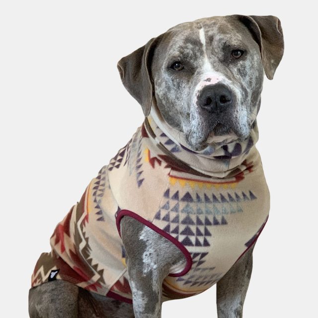 Sunset Canyon Fleece Dog Vest - Image 6