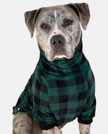 buffalo check dog sweater