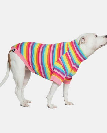 RAINBOW-STRIPE-LIGHTWEIGHT-DOG-SHIRT--1