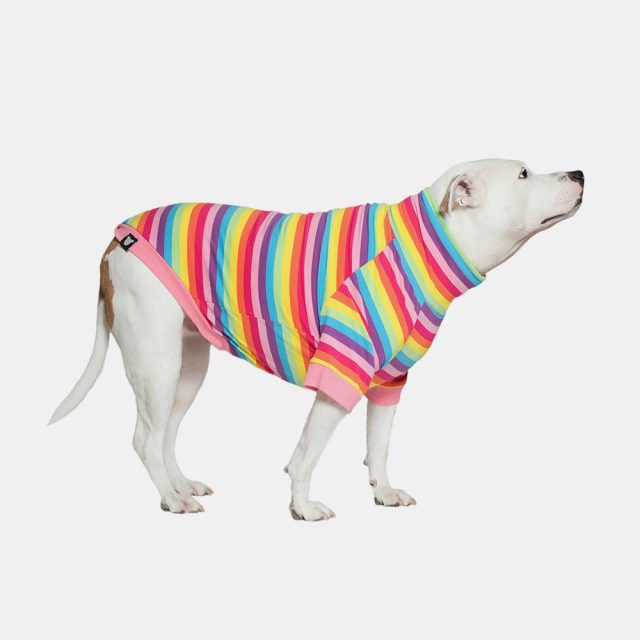 Rainbow Stripe Lightweight Dog Shirt - Image 4