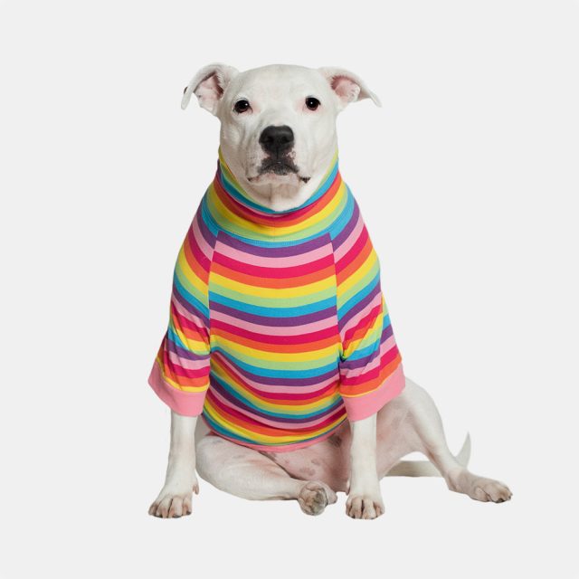 Rainbow Stripe Lightweight Dog Shirt - Image 2