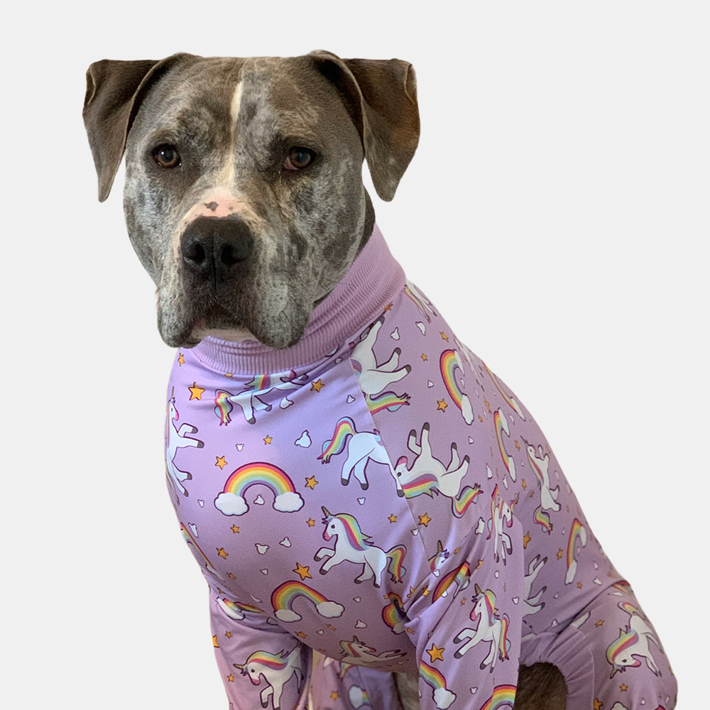 tooth and honey pitbull pajamas