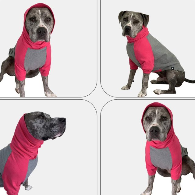 Grey I Pink Color Block Dog Sweater - Image 3