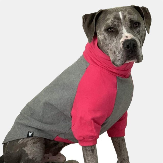 Grey I Pink Color Block Dog Sweater
