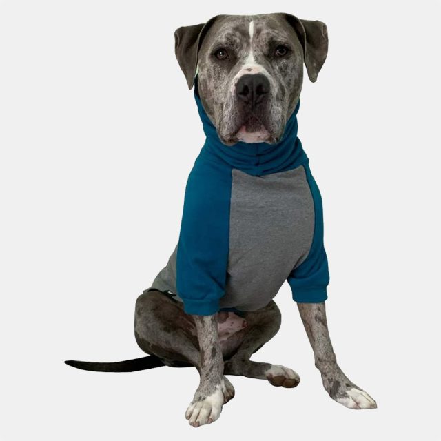 Blue I Grey Color Block Dog Sweater