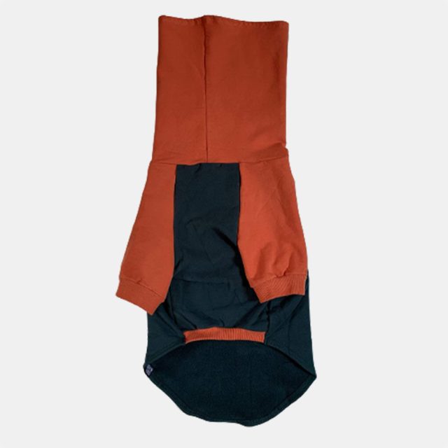 Orange I Green Color Block Dog Sweater - Image 3