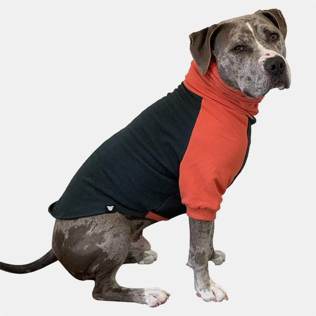 Orange I Green Color Block Dog Sweater