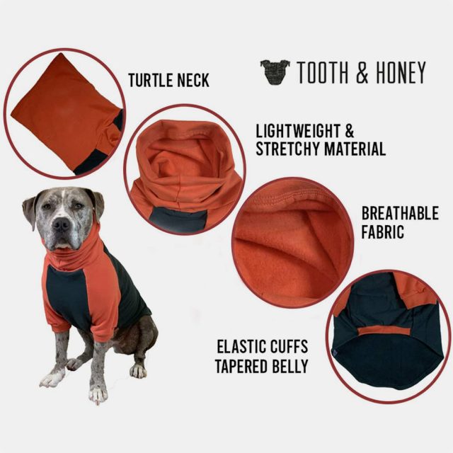 Orange I Green Color Block Dog Sweater - Image 2