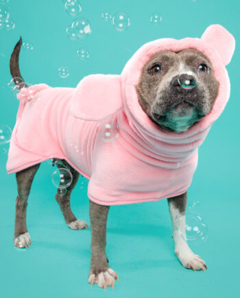 Pig Dog Bathrobe
