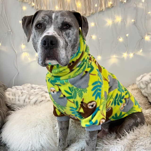 Sloth-Fleece-Dog-Sweater-1
