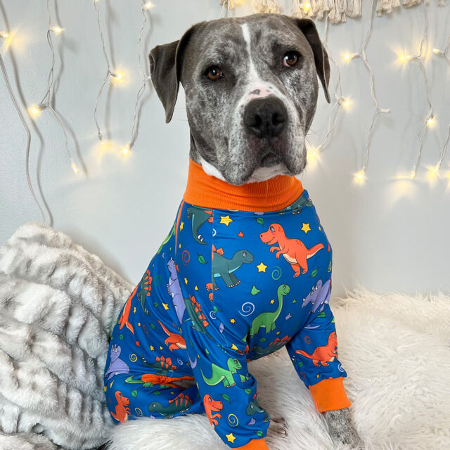 Dino Lightweight Dog Pajamas - Image 2