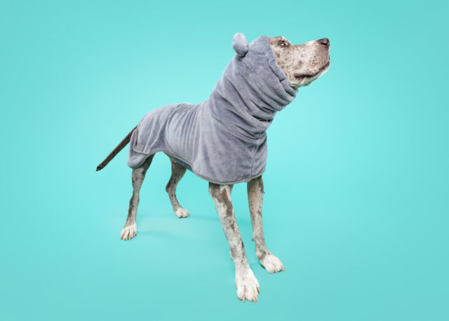 House Hippo Dog Robe - Image 11