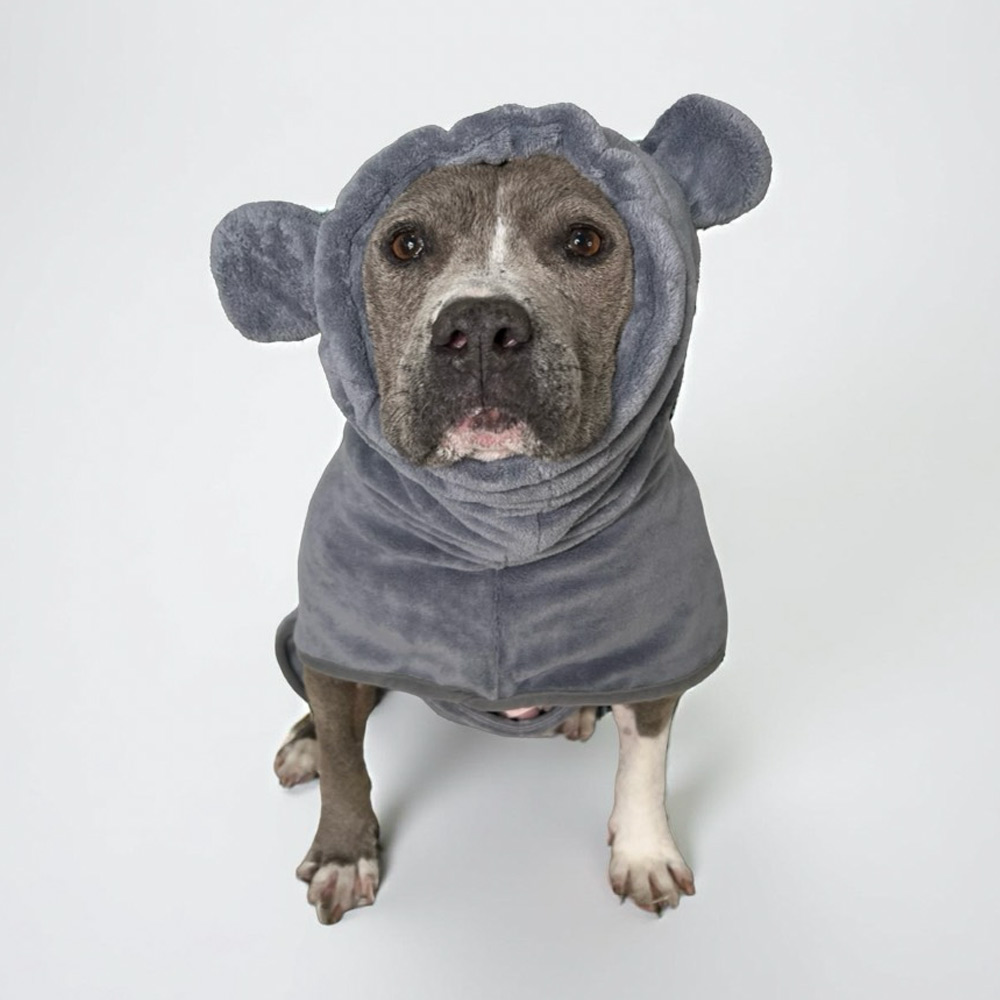 House Hippo Dog Robe