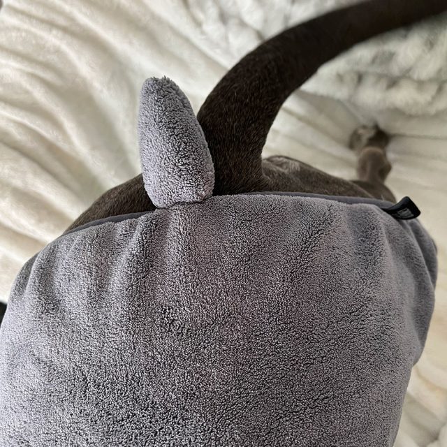House Hippo Dog Robe - Image 5