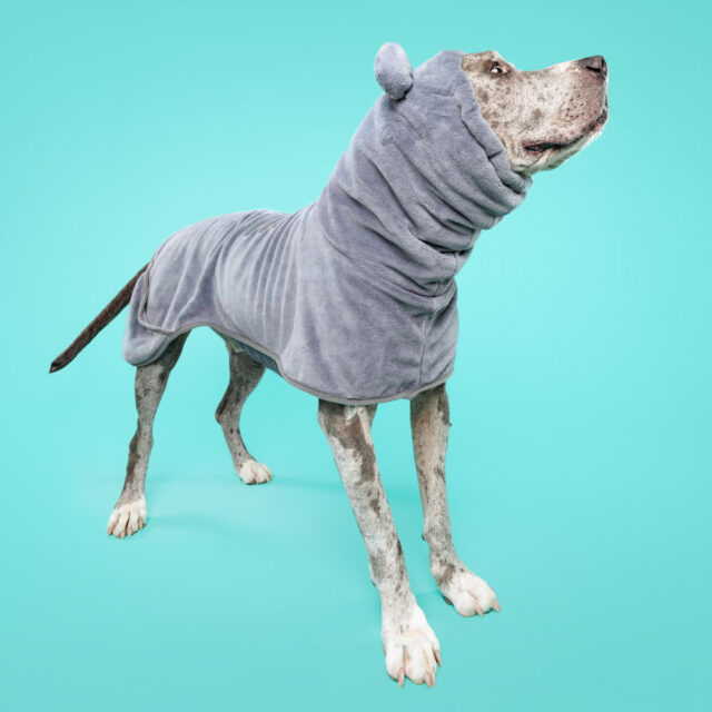 House Hippo Dog Robe