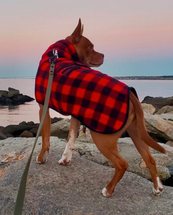 Buffalo-Plaid-Fleece-Wrap-4