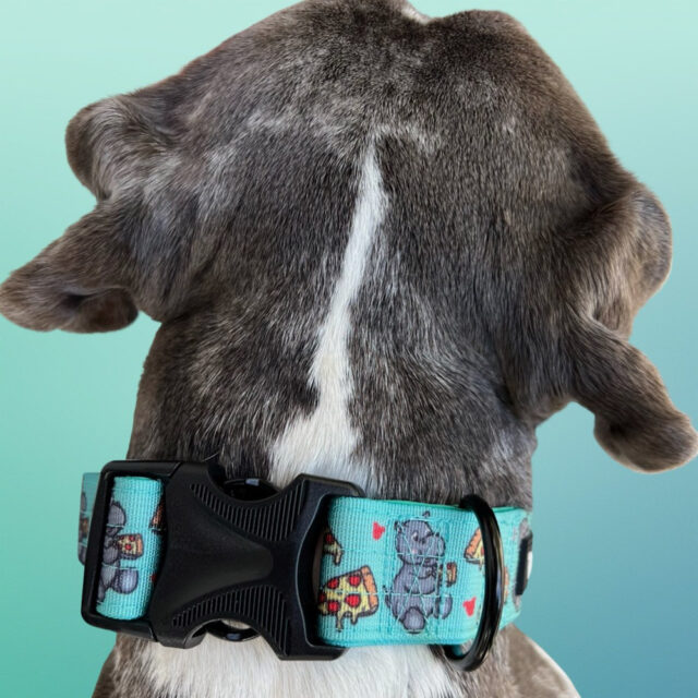 Hungry Hippo 1.5 Wide Padded Buckle Collar - Image 4