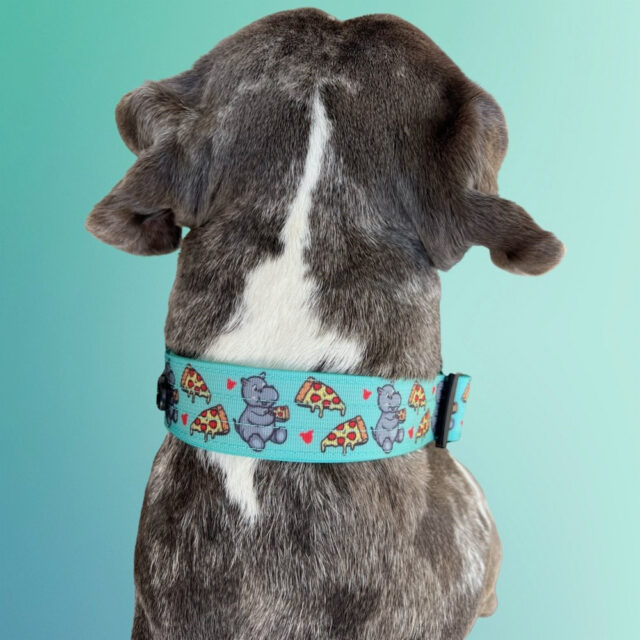 Hungry Hippo 1.5 Wide Padded Buckle Collar - Image 6