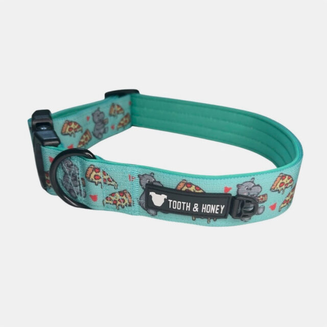 Hungry Hippo 1.5 Wide Padded Buckle Collar