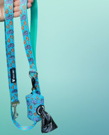 Hungry-Hippo-Padded-Handle-Dog-Leash-1