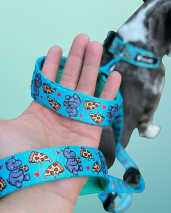 Hungry-Hippo-Padded-Handle-Dog-Leash-2