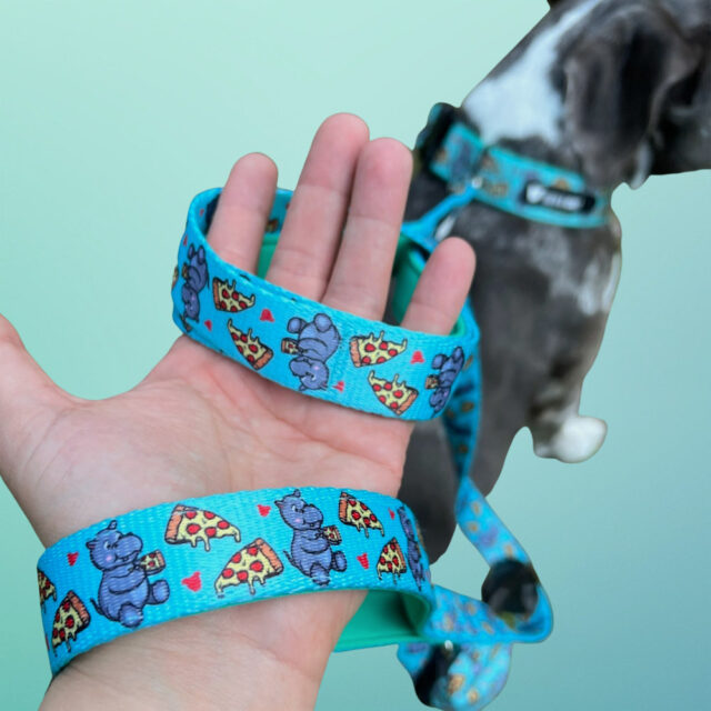 Hungry Hippo Padded Handle Dog Leash - Image 3