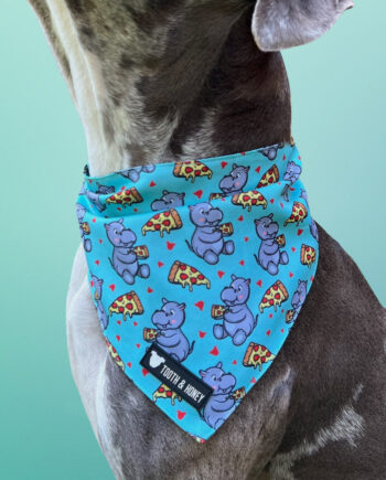 Hungry-Hippo-Reversible-Dog-Bandana-2