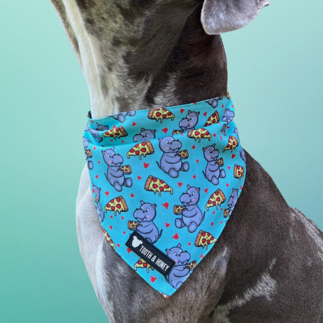 Hungry Hippo Reversible Dog Bandana - Image 5