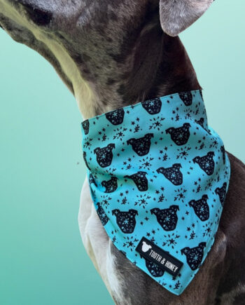 Hungry-Hippo-Reversible-Dog-Bandana-3