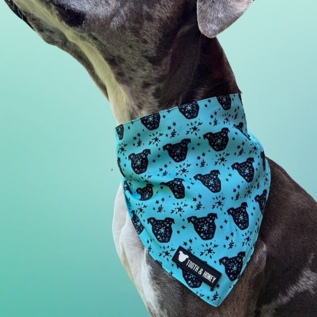 Hungry Hippo Reversible Dog Bandana - Image 2