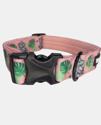 Pink-Hippo-1.5'-Wide-Padded-Buckle-Collar-4