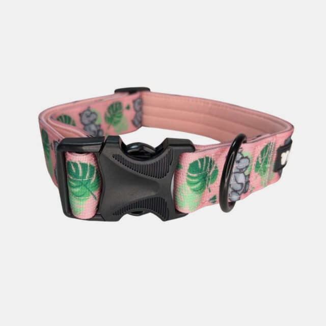 Pink Hippo 1.5" Wide Padded Buckle Collar - Image 3