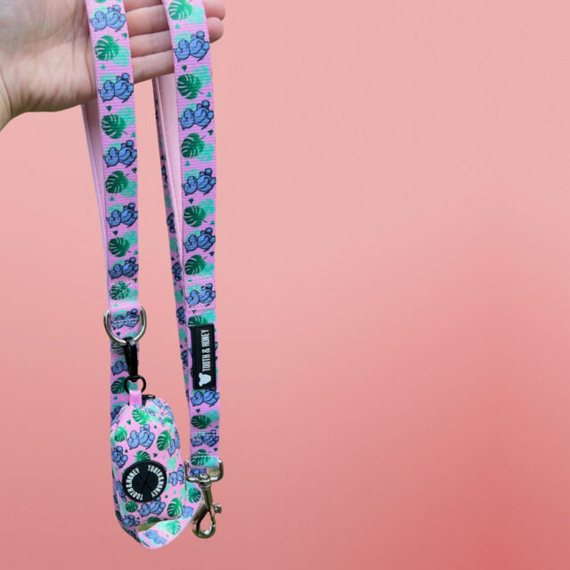 Pink Hippo Padded Handle Dog Leash - Image 2