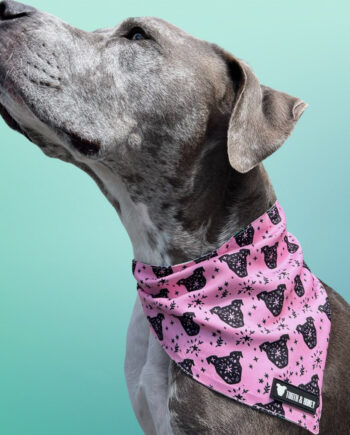 Pink-Hippo-Reversible-Dog-Bandana-1