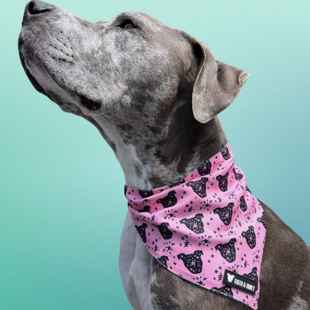 Pink Hippo Reversible Dog Bandana - Image 2