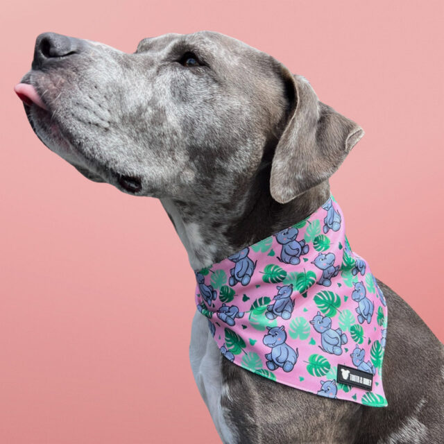 Pink Hippo Reversible Dog Bandana