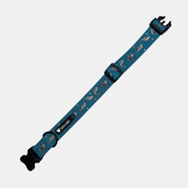 Pittie Shark 1.5" Wide Padded Buckle Collar - Image 2