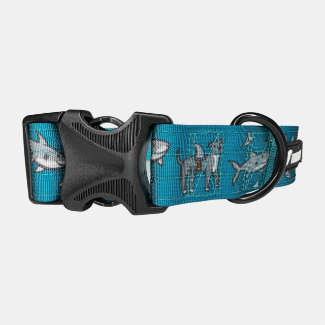 Pittie Shark 1.5" Wide Padded Buckle Collar - Image 3